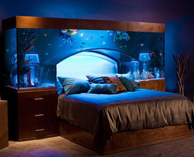 Phòng ngủ độc đáo với giường đặt dưới bể cá hình vòm. Đây chắc hẳn là phòng ngủ mơ ước của bất cứ ai yêu thích đại dương.