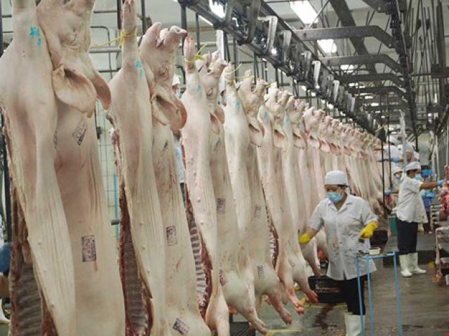 Cấm nhập khẩu để giải cứu thịt heo: Nên không?