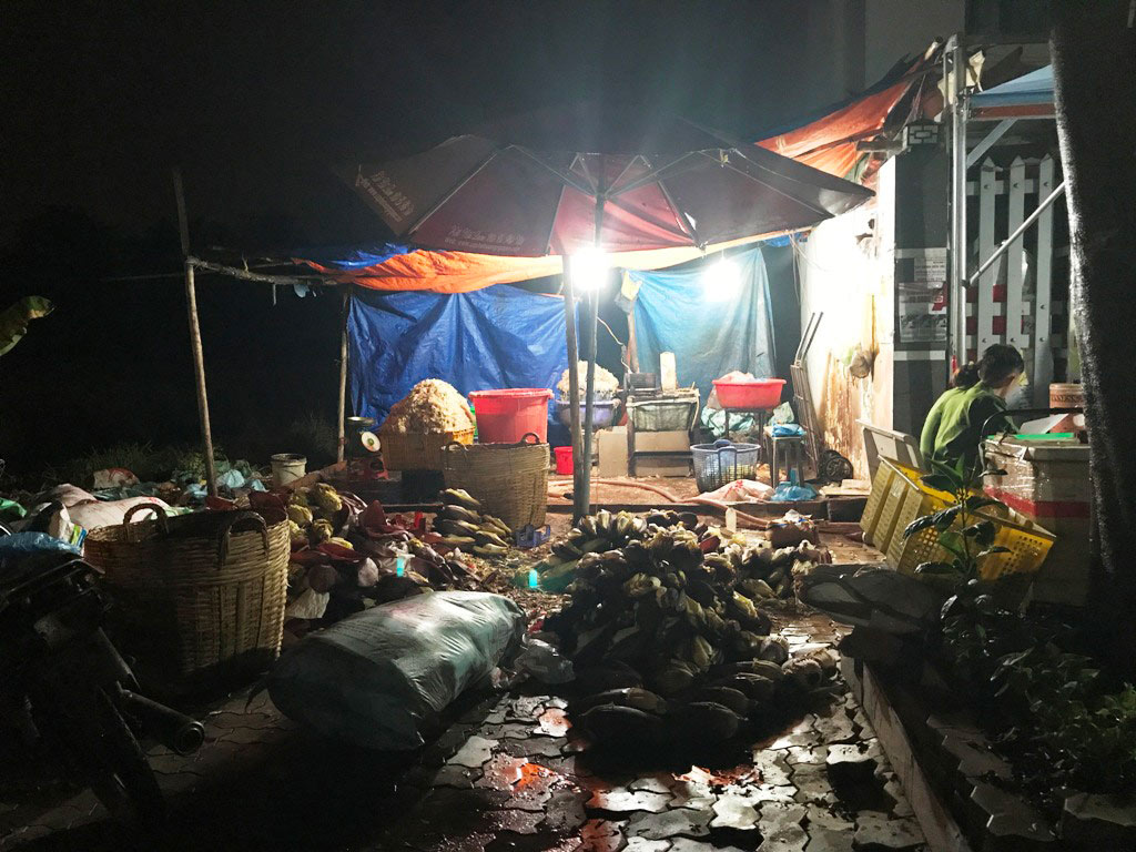 Hãi hùng phát hiện hàng trăm kg bắp chuối bào ngâm “chất độc” ở Sài Gòn - 4