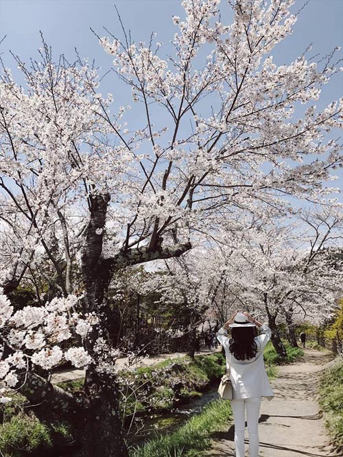 Giới trẻ Việt vi vu khắp thế giới chụp ảnh với hoa anh đào - 2