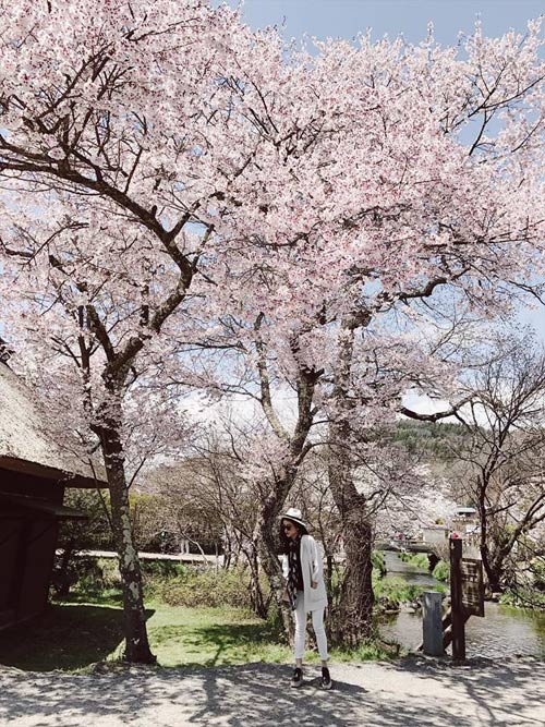 Giới trẻ Việt vi vu khắp thế giới chụp ảnh với hoa anh đào - 3