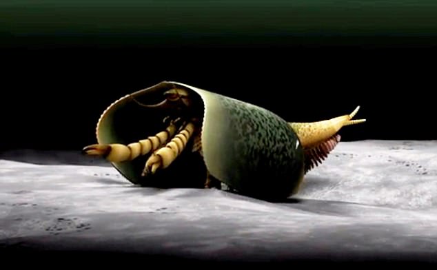 Hóa thạch “thủy quái” 507 triệu năm có 50 chân ở Canada - 1