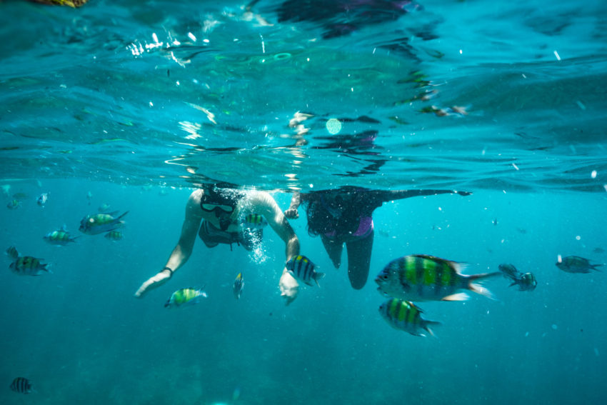 "Điêu đứng" trước vẻ đẹp của thiên đường biển xanh Koh Phi Phi - 5