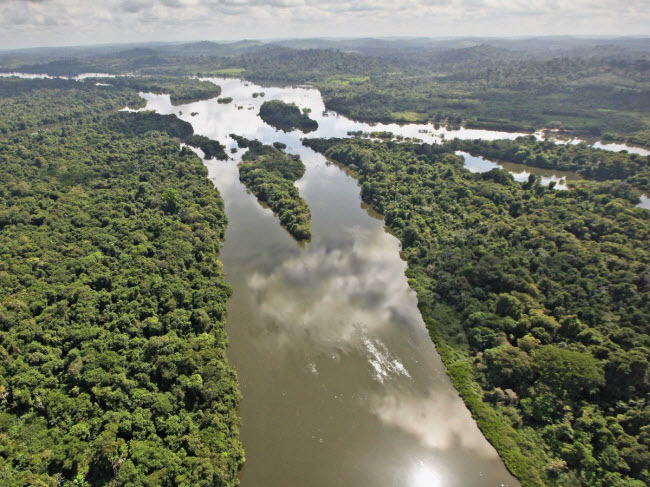Rừng Amazon, Brazil: Đây là rừng nhiệt đới lớn nhất thế giới và có hệ sinh thái đa dạng. Nhưng canh tác nông nghiệp đã khiến diện tích tằng ngày càng thu hẹp.