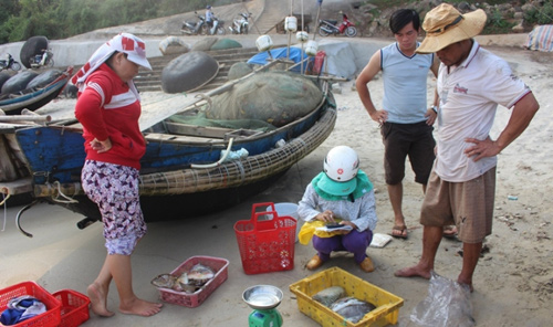 Đến Cửa Tùng săn tôm hùm, kiếm tiền triệu mỗi ngày - 11