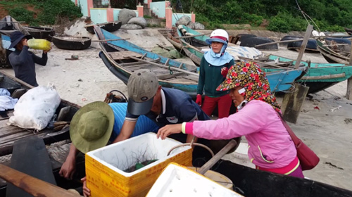 Đến Cửa Tùng săn tôm hùm, kiếm tiền triệu mỗi ngày - 5