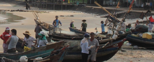Đến Cửa Tùng săn tôm hùm, kiếm tiền triệu mỗi ngày - 8