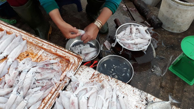Quảng Trị: Chợ cháy hàng vì người dân đổ xô mua mực - 1