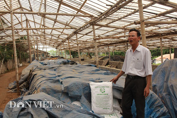 Lãi 30 triệu đồng/tháng nhờ biệt tài hô biến “rác” thành phân bón - 2