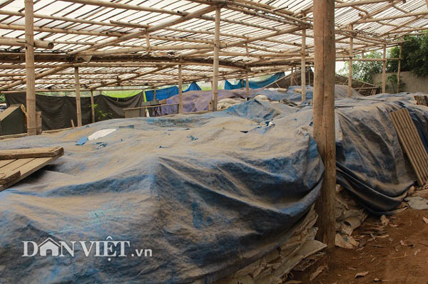 Lãi 30 triệu đồng/tháng nhờ biệt tài hô biến “rác” thành phân bón - 3