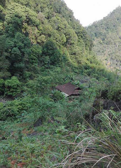 Nữ công nhân xinh đẹp bị máy dập nát đôi tay giờ ra sao? - 3