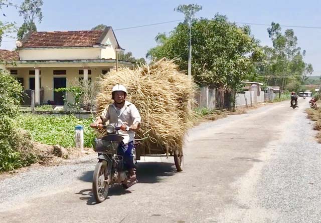 Quảng Ngãi: Nhiều người tranh mua, rơm &#34;đắt như tôm tươi&#34; - 6