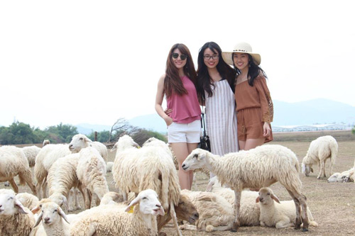 Love House: Cơ hội thoát ế nhờ “sống thử” trên truyền hình - 6