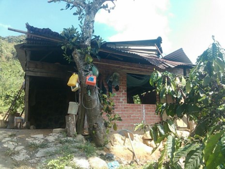 Bác sĩ ngâm mẫu vật vào cồn, nghi can thoát án giao cấu - 2