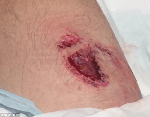 Úc: Ngư dân tay không bắt cá mập to hơn người - 2