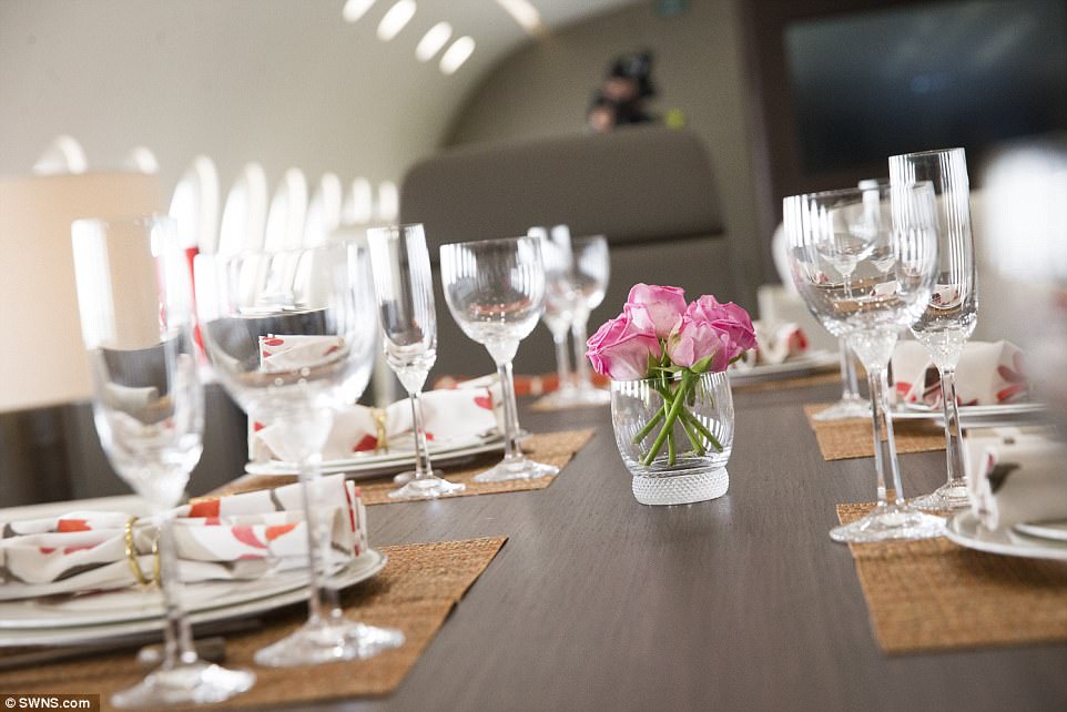 Chiêm ngưỡng “căn hộ bay” sang chảnh nhất hành tinh - 6