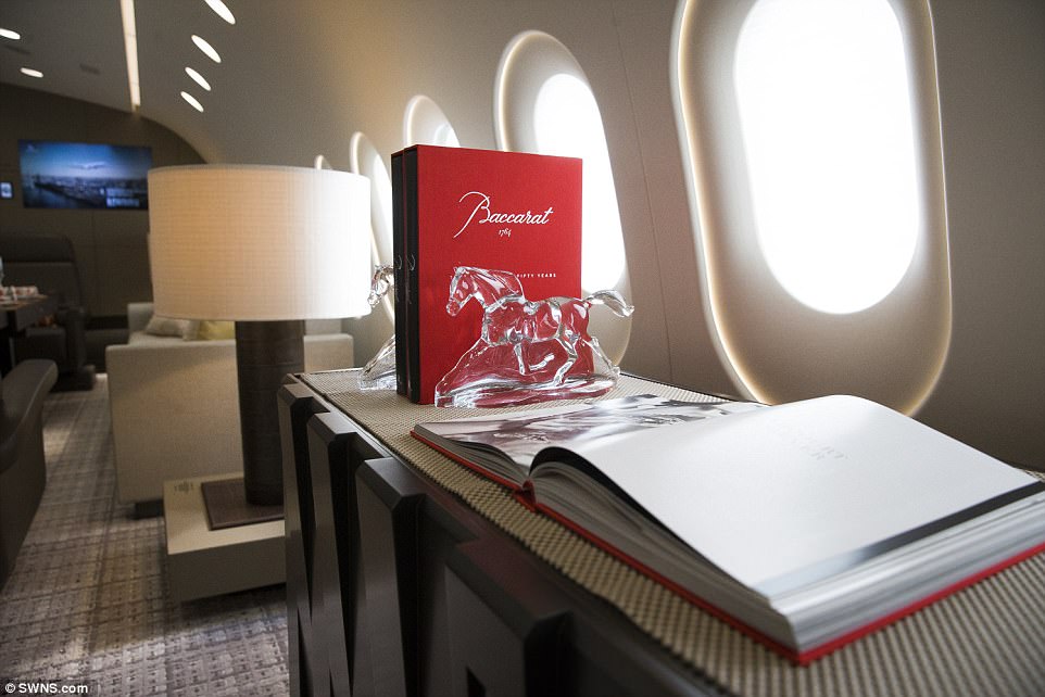 Chiêm ngưỡng “căn hộ bay” sang chảnh nhất hành tinh - 13