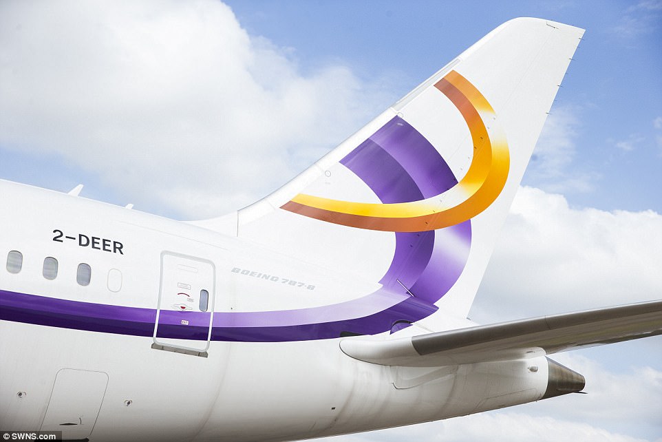 Chiêm ngưỡng “căn hộ bay” sang chảnh nhất hành tinh - 14