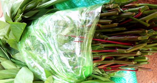 Canh rau sắn nấu cá: Đặc sản miền trung du Phú Thọ - 1