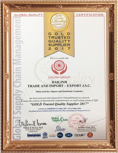 DaiLinh Group hành trình 15 năm chắp cánh vẻ đẹp Việt - 3