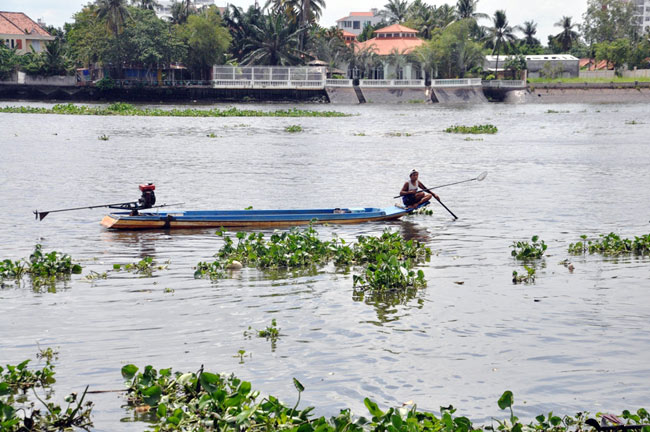 Cá phóng sinh lễ Phật Đản chưa kịp bơi đã bị chích điện - 6