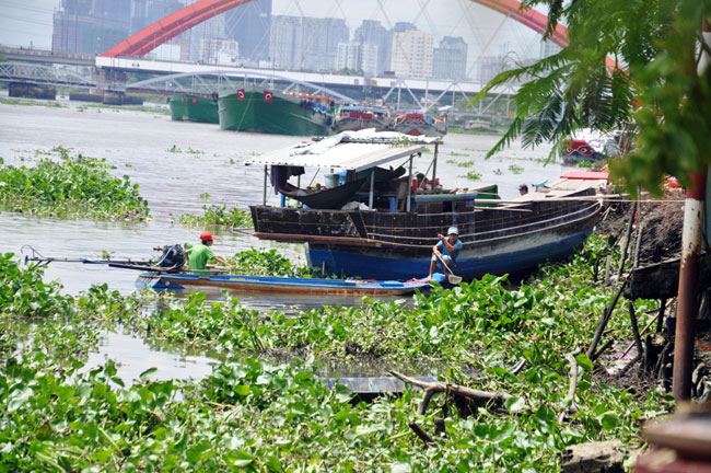 Cá phóng sinh lễ Phật Đản chưa kịp bơi đã bị chích điện - 7