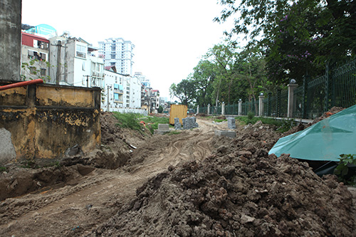 Hà Nội chặt hạ hàng loạt cây xà cừ trong Công viên Thống Nhất - 2