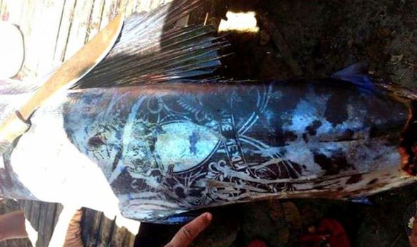 Philippines: Bắt được loài cá xăm kín thân hết sức kỳ lạ - 1