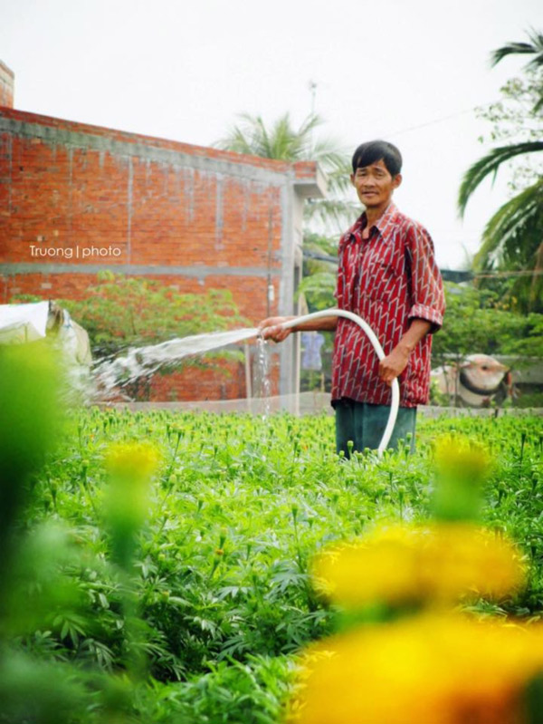 6 lý do nên du lịch Bến Tre vào mùa hè này - 6