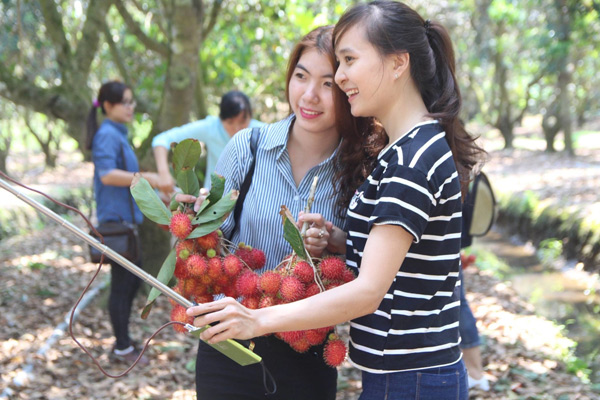 6 lý do nên du lịch Bến Tre vào mùa hè này - 5