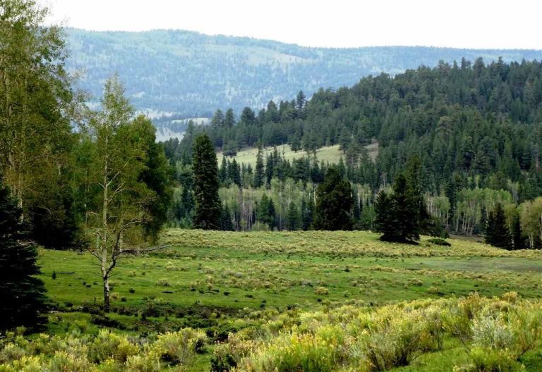 Ghé thăm căn hộ “hoang dã nhất phương Tây” - 8