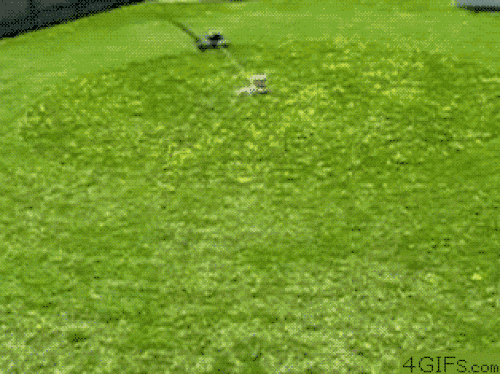 Chân dung những kẻ láu cá thích "việc nhẹ lương cao" - 7