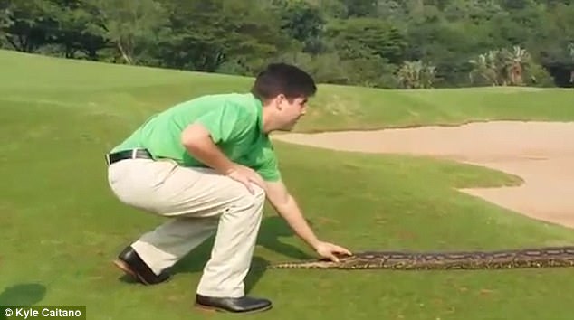 Video: Trăn &#34;khủng&#34; dài 4 mét đại náo sân golf ở Nam Phi - 2