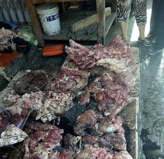 Chủ sạp thịt lợn xin giảm tội cho 2 phụ nữ hắt dầu luyn - 2