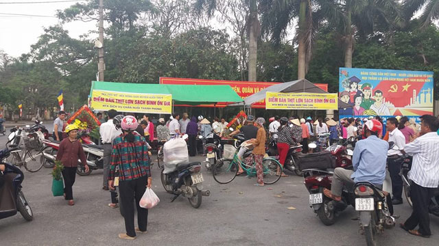 Hội ND Hải Phòng giúp nông dân bán hàng trăm con lợn - 2