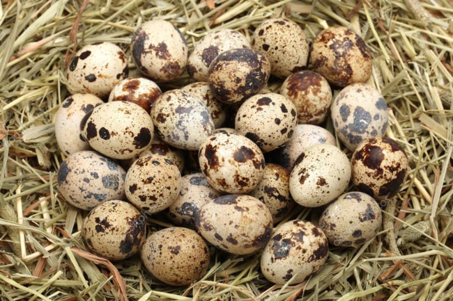 Cầm 22 ngàn đồng đi khắp thế gian, bạn sẽ ăn được những món gì? - 8