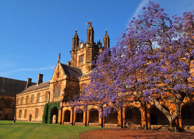 Trường được xây dựng hoàn toàn bằng đá sa thạch, thiết kế theo phong cách kiến trúc Neo-gothic.