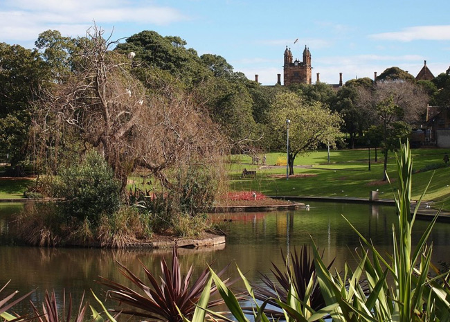 Khí hậu ở Sydney vô cùng dễ chịu, là điều kiện tuyệt vời cho cảnh quan thiên nhiên phát triển.
