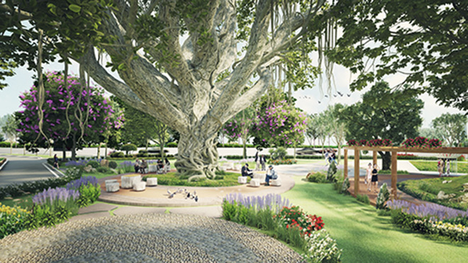 Tara Residence - Bình yên trong lòng phố - 3