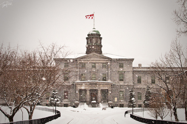 7. Đại học McGill xây dựng vào năm 1843, phong cách kiến trúc đô thị hoàn toàn hòa trộn với thiên nhiêu, có rất nhiều không gian xanh trong khuôn viên. 