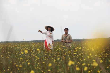 Tháng 5, đến Tràm Chim ngắm hoa lạ - 5