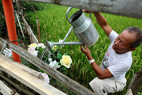 Ông lão &#34;soái ca&#34; dựng cả khu vườn tình yêu bên mộ vợ - 5
