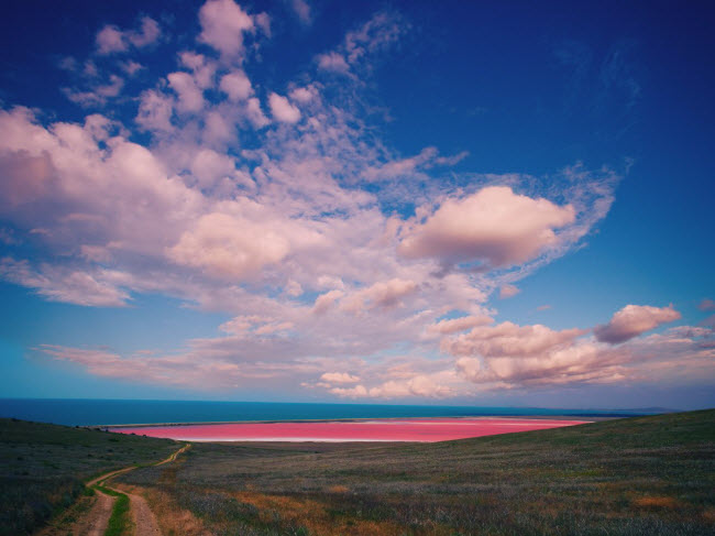 Hồ Hillier ở Australia có màu hồng nhạt quanh năm và hiện tượng này vẫn còn là điều bí ẩn. Một số người cho rằng, nó có thể là do hồ có lượng muối cao kết hợp với các loài vi sinh vật có màu hồng.