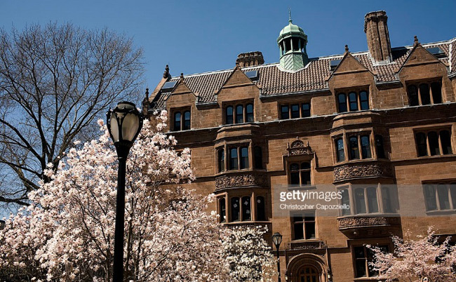 Đại học Yale bao gồm Yale College (chương trình đại học), Trường đại học Nghệ thuật và Khoa học, và các trường chuyên nghiệp.