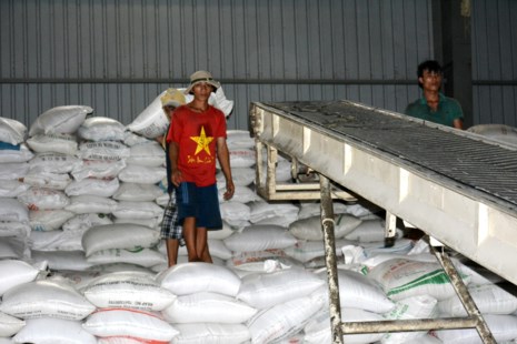 Gạo Việt có hợp đồng &#39;khủng&#39; 1 triệu tấn/năm - 1