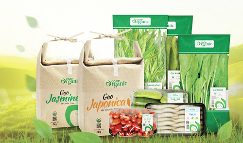 4 nhóm nông sản Việt được Bộ Nông nghiệp Hoa Kỳ chứng nhận đạt chuẩn USDA - 2