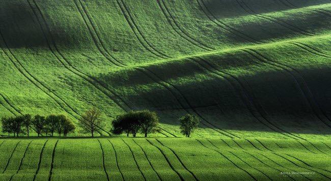 Moravia là vùng đất lịch sử nổi tiếng với nhiều phong cảnh đẹp ở miền nam Cộng hòa Czech.