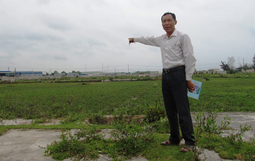 Thanh Hóa: Quá xót cho 100ha đất làm muối bị bỏ hoang vì ô nhiễm - 1