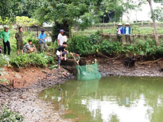 Mâu thuẫn mua bán lợn, đâm chết người rồi leo nóc nhà