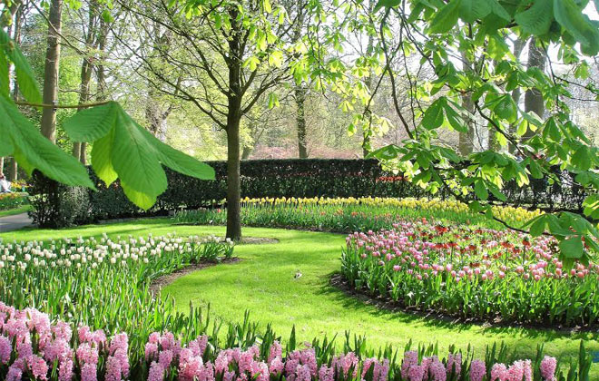 Vẻ quyến rũ mê hoặc của vườn hoa Keukenhof ở xứ sở cối xay gió - 8